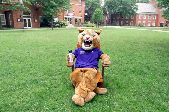 图为足球外围买球靠谱吉祥物美洲狮卡森坐在阴凉校园的椅子上